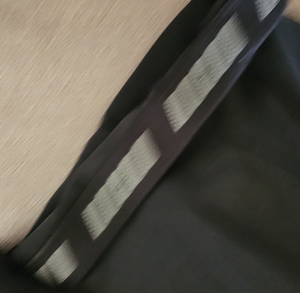 Solstice Black and Gray Shorts